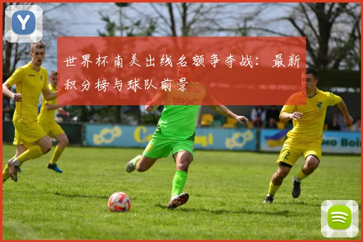 世界杯南美出线名额争夺战：最新积分榜与球队前景
